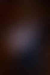 Fall Family Photography at the Ginkgo Grove in Blandy Experimental Farm in Boyce Virginia by Virginia Family Photography Emily Farewell and Maryland Family Photographer Emily Farewell.