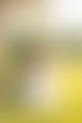 Portrait Wedding Photography at Rixey Manor in Rixeyville Virginia by Virginia Photographer and Virginia Wedding Painter Emily Farewell