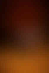 Fall Family Photography at the Ginkgo Grove in Blandy Experimental Farm in Boyce Virginia by Virginia Family Photography Emily Farewell and Maryland Family Photographer Emily Farewell.