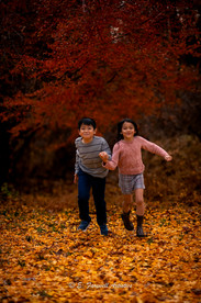 Fall Family Photography at the Ginkgo Grove in Blandy Experimental Farm in Boyce Virginia by Virginia Family Photography Emily Farewell and Maryland Family Photographer Emily Farewell.