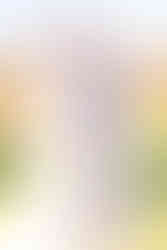 Documentary Style Wedding Photography at Trump National Golf Club in Washington DC by Winchester Virginia Wedding Photographer and Washington DC Wedding Photographer Emily Farewell