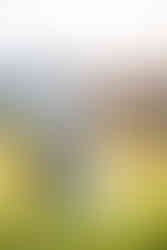 Documentary Style Wedding Photography at Trump National Golf Club in Washington DC by Winchester Virginia Wedding Photographer and Washington DC Wedding Photographer Emily Farewell