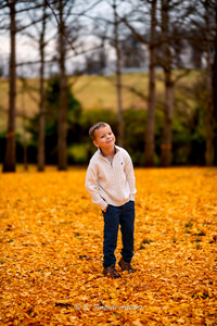 Fall Family Photography at the Ginkgo Grove in Blandy Experimental Farm in Boyce Virginia by Virginia Family Photography Emily Farewell and Maryland Family Photographer Emily Farewell.