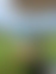 Live Wedding Painting at Stone Tower Winery in Leesburg, Virginia by Virginia Live Wedding Painting and Washington DC Live Wedding Painter Emily Farewell.