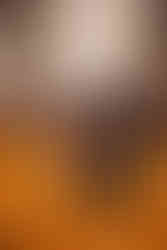 Fall Family Photography at the Ginkgo Grove in Blandy Experimental Farm in Boyce Virginia by Virginia Family Photography Emily Farewell and Maryland Family Photographer Emily Farewell.