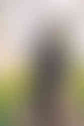 Portrait Wedding Photography at Rixey Manor in Rixeyville Virginia by Virginia Photographer and Virginia Wedding Painter Emily Farewell