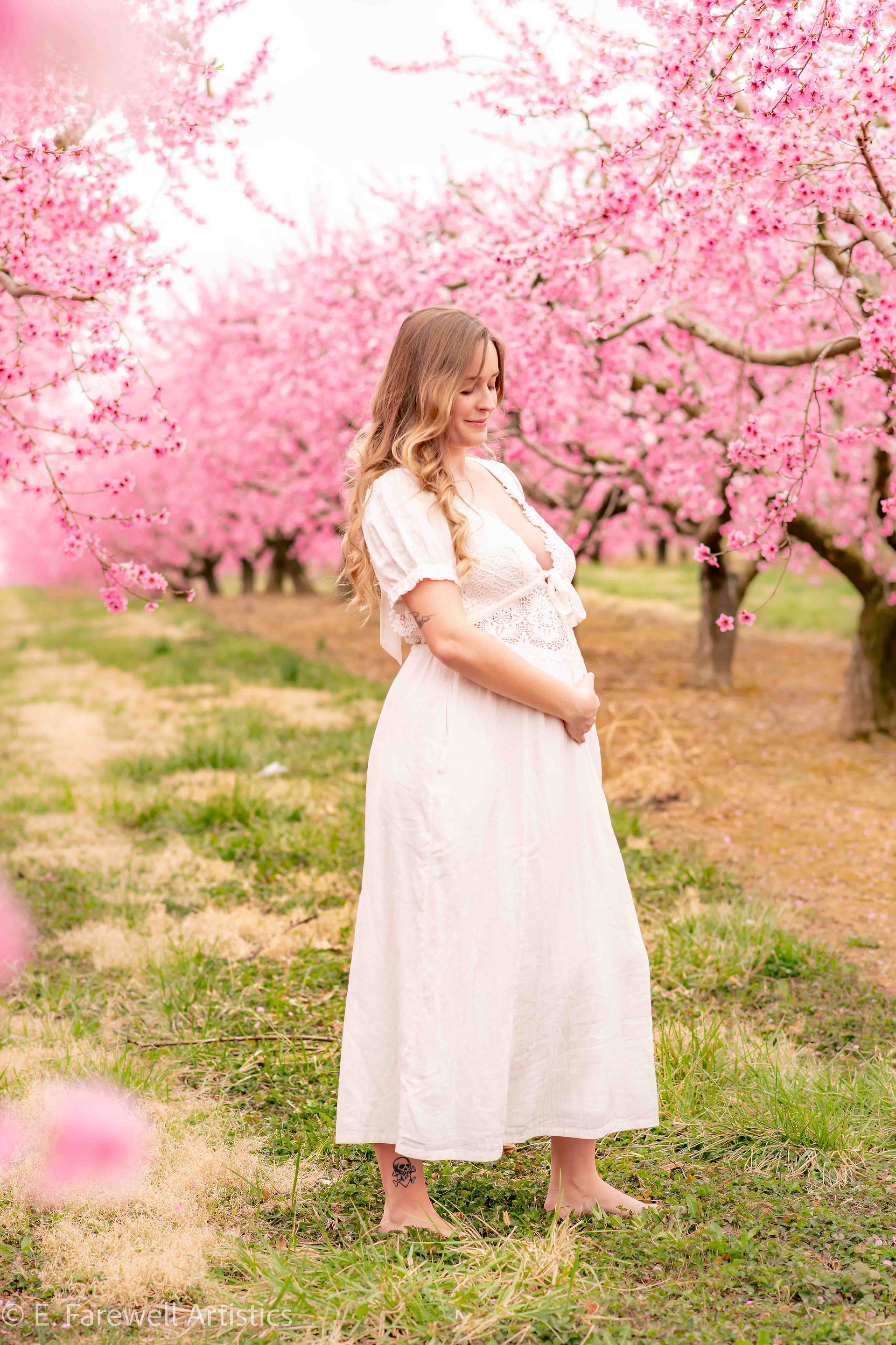 Maternity Photography in the peach blossoms at Orr's Farm Market in West Virginia by Virginia Matern