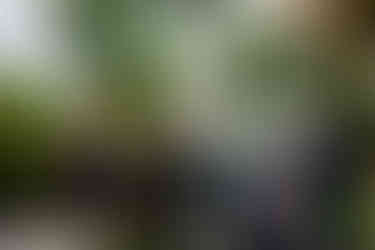 Small Intimate Garden Wedding Photography in Fredericksburg, Virginia captured by Virginia Wedding Photographer Emily Farewell.
