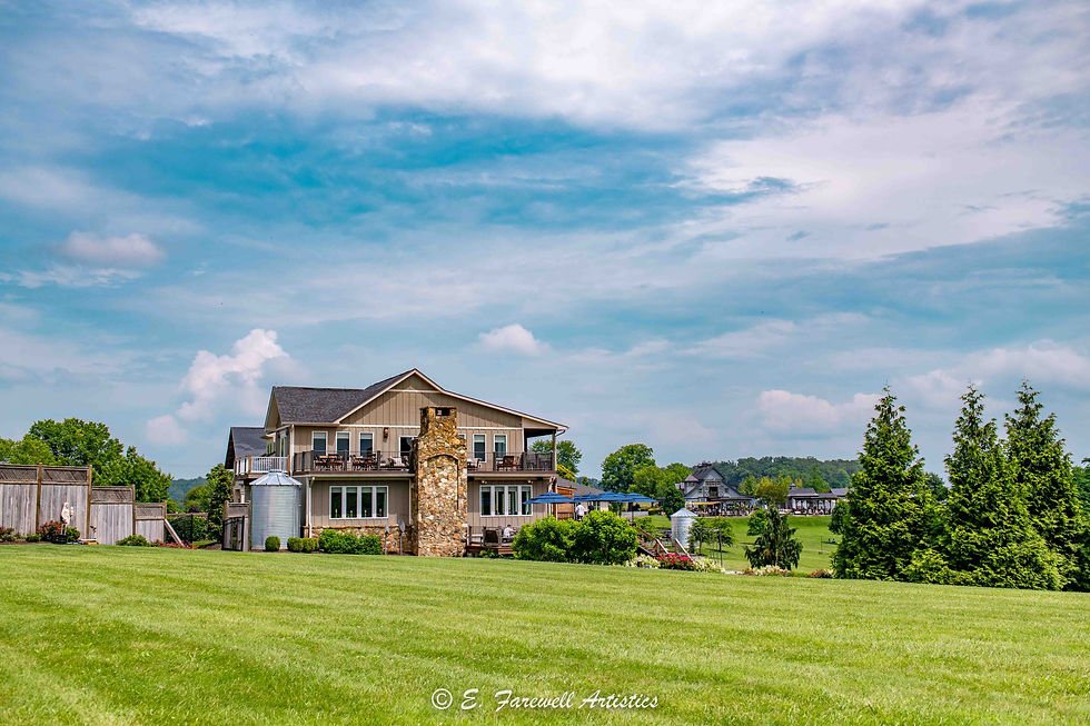 Stone Tower Winery in Leesburg, Virginia by Virginia Photographer, Emily Farewell. Winery Photography.