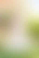 First Look with Dad at Rixey Manor in Rixeyville Virginia with Virginia Photographer, Emily Farewell