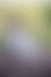 Reception Photography at Rixey Manor in Rixeyville Virginia by Virginia Photographer and Virginia Wedding Painter Emily Farewell