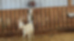 Picture15.jpg