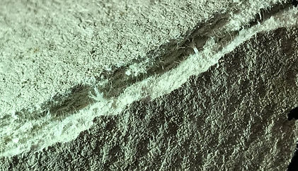 Asbestos sampling and analysis.jpg