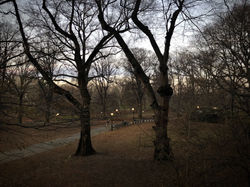 December 2018, Central Park
