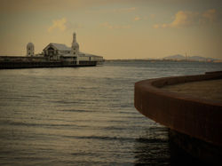 March 2011, Geelong