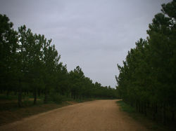May 2010, Ankara