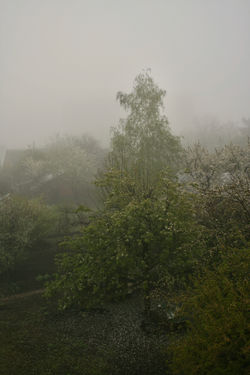 September 2009, Krasnodar