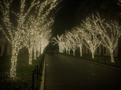 December 2019, New York