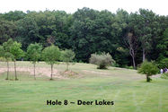 deer lakes ~ hole 8 w text.jpg
