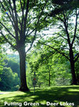 deer lakes ~ putting green ii w text.jpg