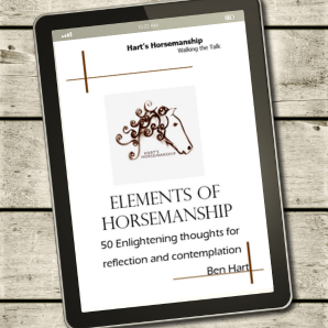 white book cover shown on a tablet computer