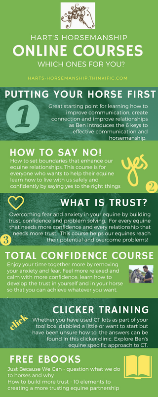 list of some of bens online courses in green and white info grafic