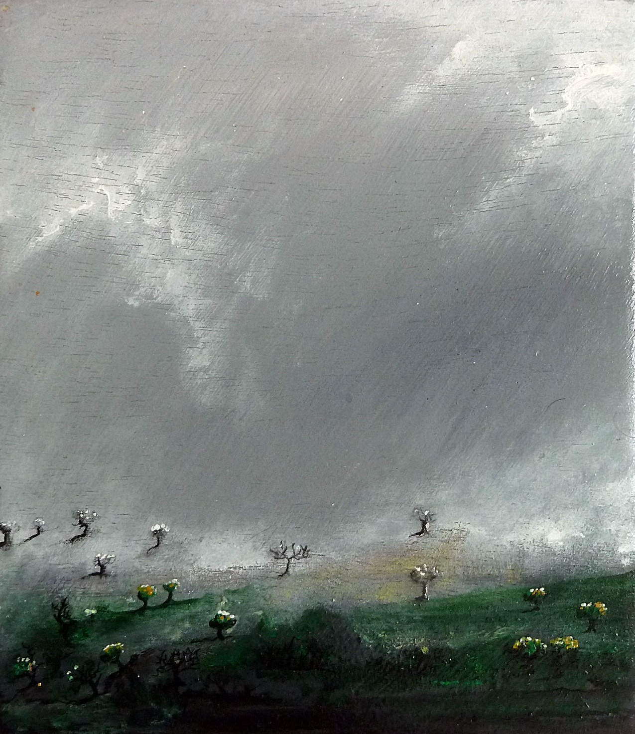 -Tormenta.