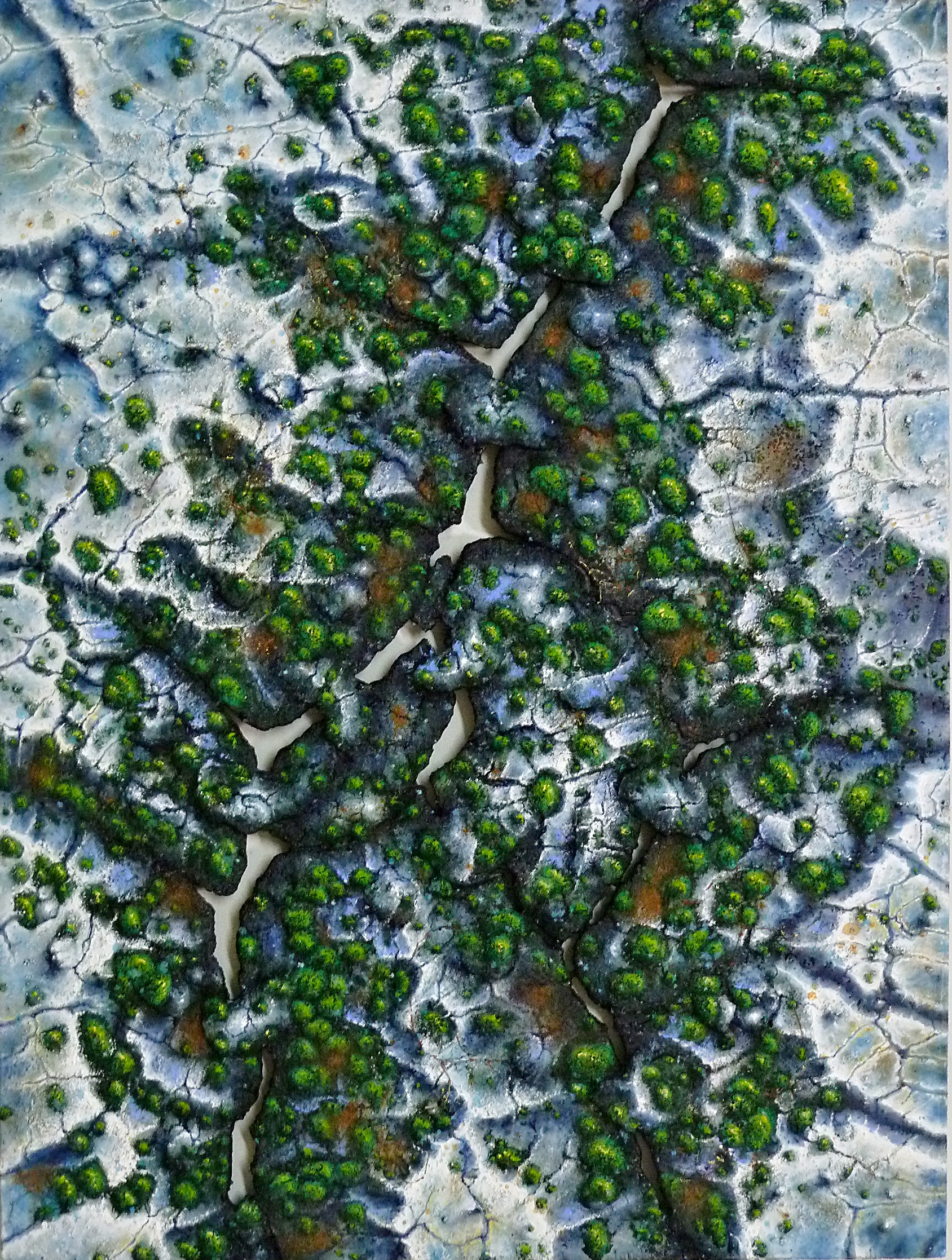 "Rocks and moss". 2019