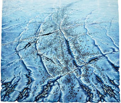 "Last ice age".