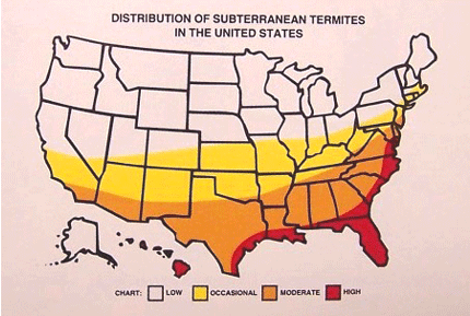 Termite pressure in the United States