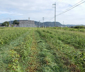 0822作業前.jpg