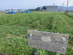 CIMG5079.JPG