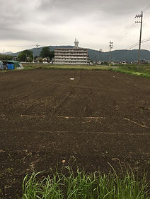 300430畑 耕運後撮影0508.jpeg