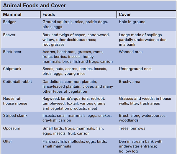 Screenshot 2022-03-22 205346.png