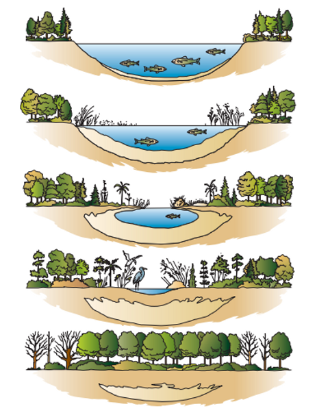 Screenshot 2022-03-23 171013.png