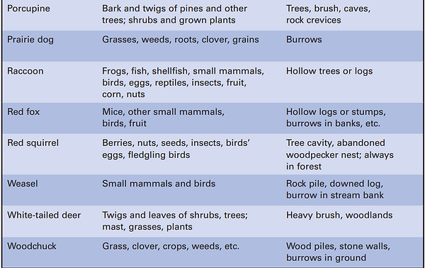 Screenshot 2022-03-22 205403.png