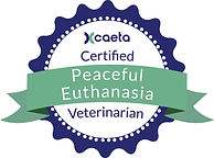 CAETA CPEV Seal.jpg