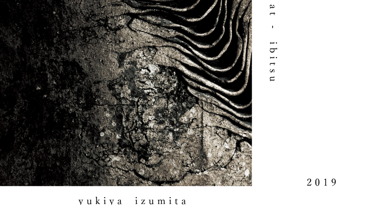 2019  5/30 - 6/3  izumiya yukiya × tani masako  exhibition