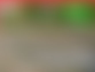 5 MARZO - Piante aliene nel Veronese: dalle collezioni alle prospettive future.