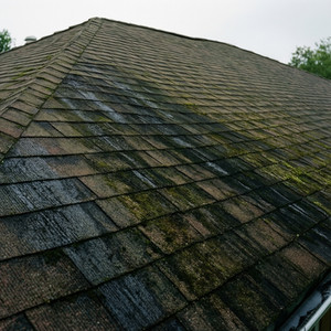 Roof Soft Washing