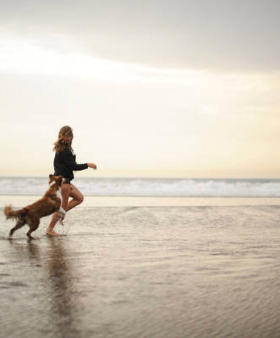 Running dog along beach for relaxation and time out