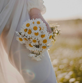 Bride in paddock waiting for Farmyard Wedding Waiters