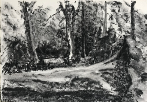IV