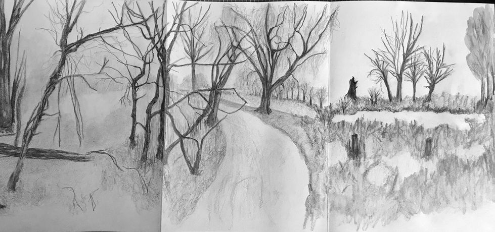 Shirin-Yoku. Forest Bathing VI