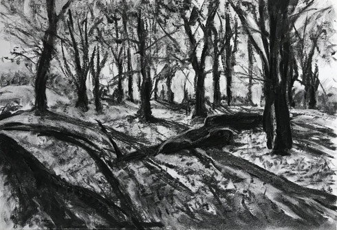 VII
