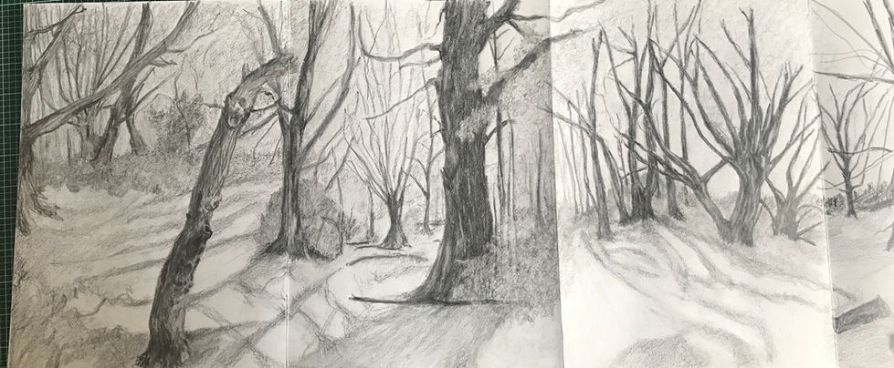 Shirin-Yoku. Forest Bathing IV