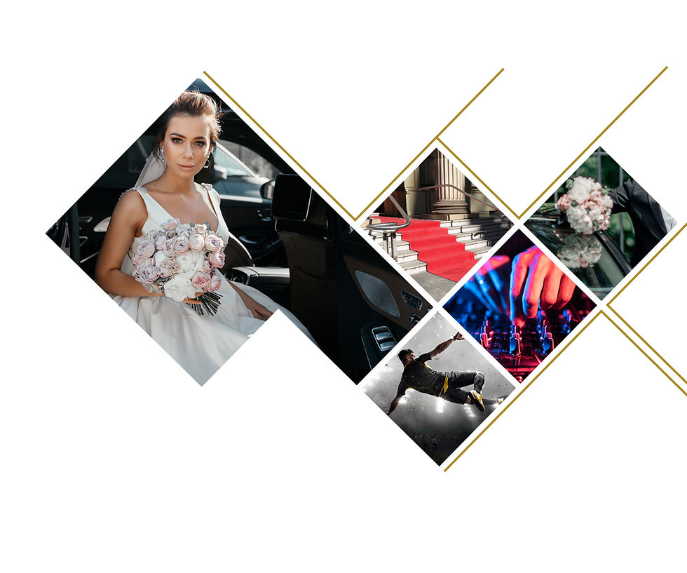 chauffeur services holland wedding and events.jpg