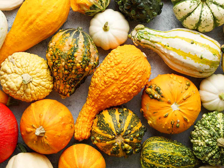 🎃 Balkabağının Gizli Yüzü: Tatlı Görünümünün Altındaki Toksik Gerçek