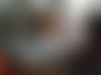 Dia 20 de novembre. Skype amb un equip de Vedruna Artés
