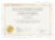 a picture of a wags and whiskers diploma badge